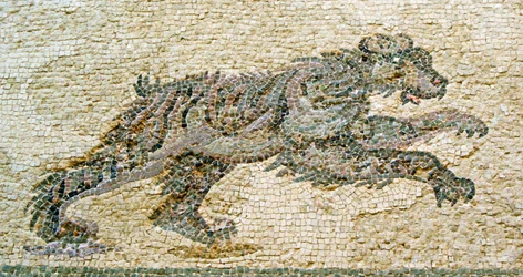 Jachtscène, detail van een beer, Huis van Dionysos, Paphos, Cyprus mozaïek