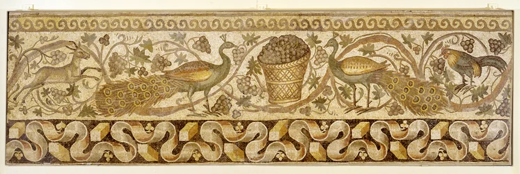 Mozaïek van een rand met wijnranken en pauwen, Antiochië, 526-540