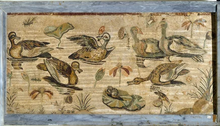 Romeinse kunst: eend, kikker en waterlelies in een vijver. Mozaïek uit het Huis van de Faun in Pompeï. 1e eeuw. Afmetingen: 132 x 164 cm. Museo Archeologico Nazionale, Napels