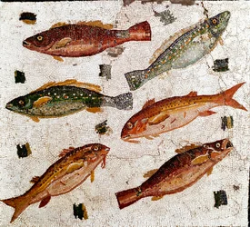 Romeinse kunst: mozaïek met vissen. 1e eeuw v.Chr. Museo Nazionale Romano, Rome, Italië