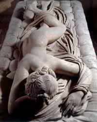 Slapende hermafrodiet