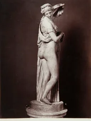 De Venus Callipigia