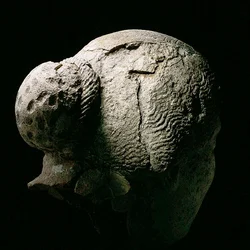 Achteraanzicht van een vrouwenhoofd, 2e of 3e eeuw na Christus
