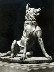 Bull Mastiff Hond