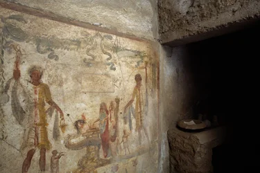 Fresco van Lararium bij ingang van keuken, Huis van Caius Julius Polybius, Pompeii (UNESCO Werelderfgoedlijst)