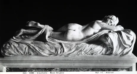 Slapende hermafrodiet