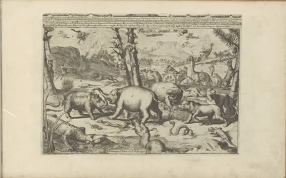 Aziatische en Afrikaanse dieren