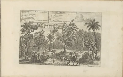 Bomen en specerijen