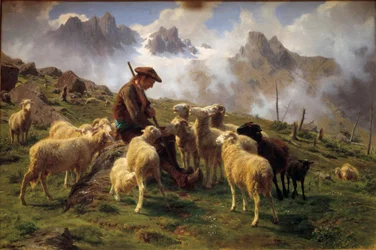 Een Alpenherder geeft zout aan zijn schapen