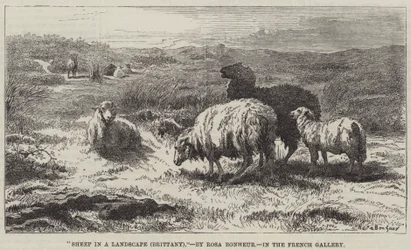 Schapen in een landschap, Bretagne