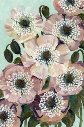 Roze klaprozen