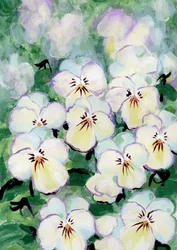 Fijne viooltjesbloemen
