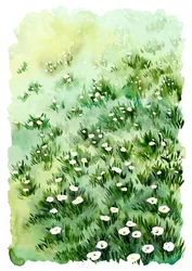 Bloemen van Green Meadow