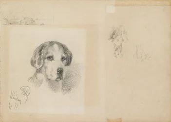 Portret van een hond: Windsor
