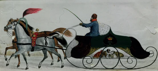Paardenslee (detail)