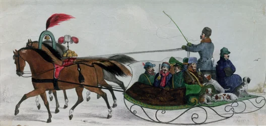 Paardenslee (digitale detail)