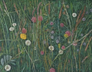 Planten van de Machair, 2008