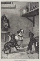 Een Commissie van Wegen en Middelen