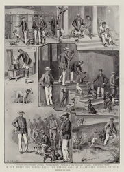 Een Nieuwe Hobby voor Schooljongens, de Kennel Club op Clayesmore School, Enfield