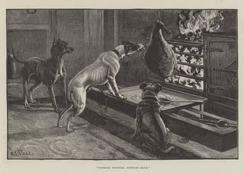 Wie Niet Waagt, Wie Niet Wint