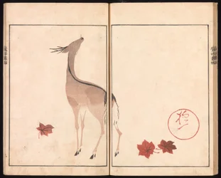 Ōson (Hōitsu) prentenalbum (Ōson gafu)