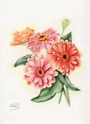 Kleurrijk boeket met zinnia’s