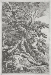 St. Willem de Kluizenaar, ca. 1662