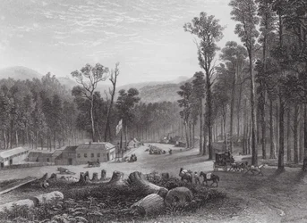 Australië: Marysville, Victory (gravure)