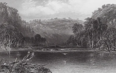 Australië: Aan de Cow Pasture River (gravure)