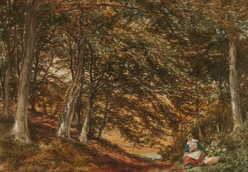 Picknick in het bos