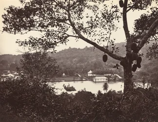 Een blik vanaf Upper Lake Road met tempel en eiland met park - fruitboom op de voorgrond, ca. 1865