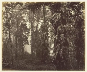 Darjeeling, India, ca. 1865
