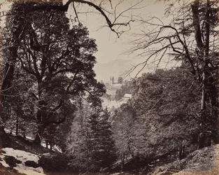 Shimla. De kerk door de bomen, vanuit Jakko