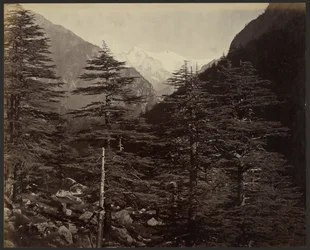 Besneeuwde bergtoppen bij Gangotri, vanuit Bhairamghati
