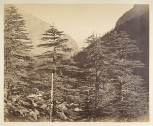 Besneeuwde toppen bij Gangootri vanaf Bhairamghati. Fotograaf: Bourne, Samuel Album met foto