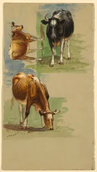 Tekening, vee, ossen, 1875-80