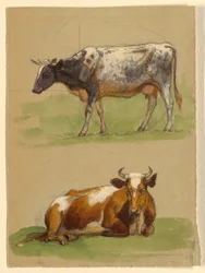 Tekening, Vee, een koe loopt en een koe hurkt, 1875-80