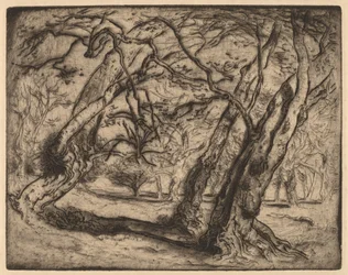Zonder Titel (Boslandschap)
