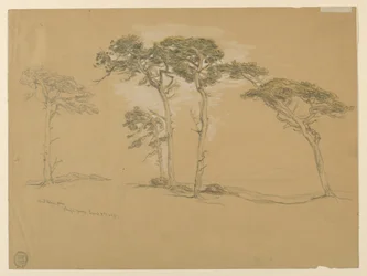 Windgeblazen dennen, Pacific Grove. Verso: Pacific Coast weg naar Point Sur.