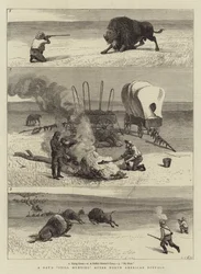 Een dag jagen op Noord-Amerikaanse buffels