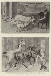 U wordt verzocht de haldeuren gesloten te houden vanwege de dieren in het park