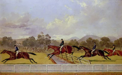 Een Steeplechase