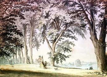 Bomen bij de Theems tegenover Hammersmith
