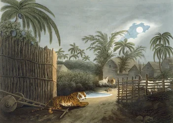 Een tijger die door een dorp sluipt (vee in angst), uit 