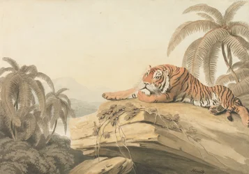 Een rustende tijger: het frontispice voor "Oriental Field Sports"