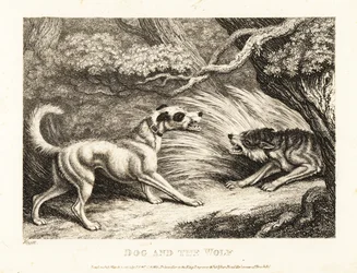 Een huishond in een halsband biedt voedsel aan een uitgehongerde wolf. 1811