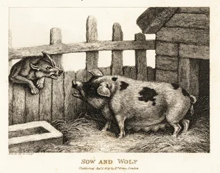 Een grote zeug in een varkensstal gromt naar een wolf. 1811 (ets)