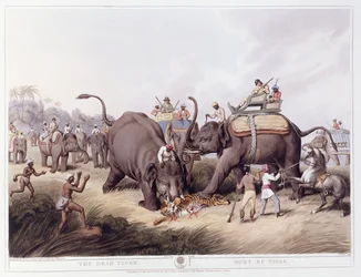 De dode tijger; Mort du tigre, 1807