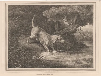 De otterhond