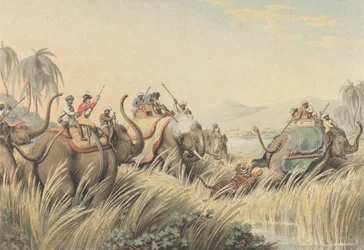 De in het nauw gedreven tijger: een illustratie voor "Oriental Field Sports" van kapitein Thomas Williamson